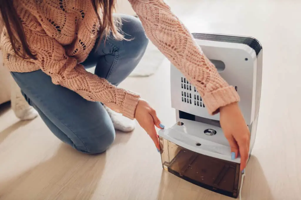 Woman emptied dehumidifier which protects her paintings and photographs from humidity