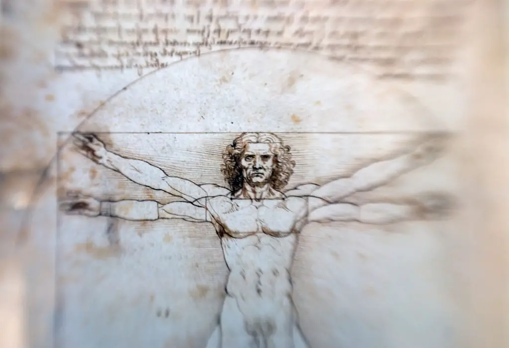 Leonardo Da Vinci's Vitruvian Man